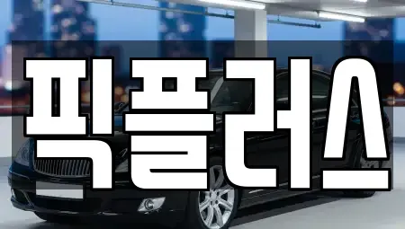 경기 고양시 일산동구 풍동 중고차 전문 픽플러스