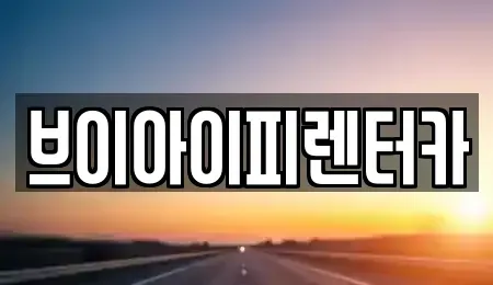 경기 고양시 일산서구 가좌동 렌트카 전문 브이아이피렌터카
