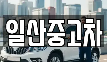경기 고양시 일산서구 가좌동 중고차 전문 일산중고차