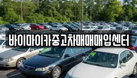경기 고양시 일산서구 가좌동 중고차매입 전문 바이마이카중고차매매매입센터