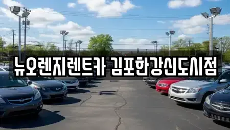 경기 김포시 대곶면 렌트카 전문 뉴오렌지렌트카 김포한강신도시점
