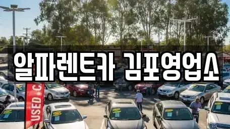 경기 김포시 대곶면 렌트카 전문 알파렌트카 김포영업소