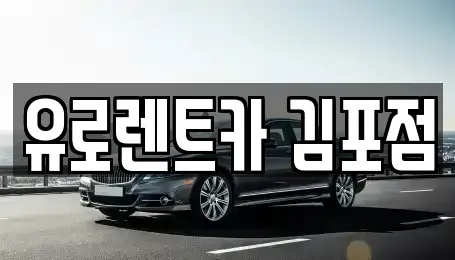 경기 김포시 대곶면 렌트카 전문 유로렌트카 김포점