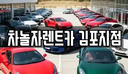 경기 김포시 대곶면 렌트카 전문 차놀자렌트카 김포지점