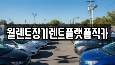 경기 김포시 대곶면 장기렌트카 전문 월렌트장기렌트플랫폼직카