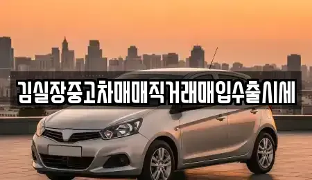 경기 김포시 대곶면 중고차매입 전문 김실장중고차매매직거래매입수출시세