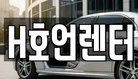 경기 김포시 풍무동 단기렌트카 전문 H호언렌터