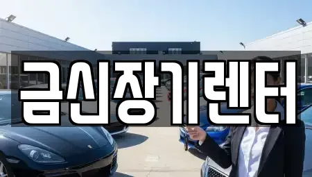 경기 김포시 풍무동 단기렌트카 전문 금신장기렌터
