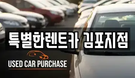 경기 김포시 풍무동 렌트카 전문 특별한렌트카 김포지점