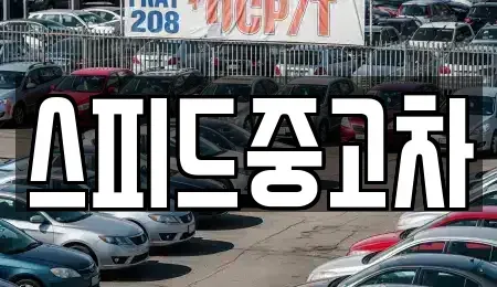 경기 김포시 풍무동 중고차 전문 스피드중고차