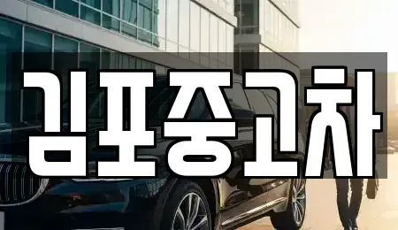 경기 김포시 풍무동 중고차매매 전문 김포중고차
