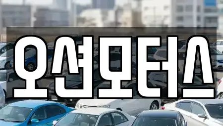 경기 김포시 풍무동 중고차매매 전문 오션모터스