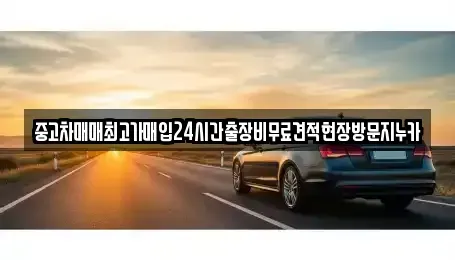 경기 김포시 풍무동 중고차매매 전문 중고차매매최고가매입24시간출장비무료견적현장방문지누카