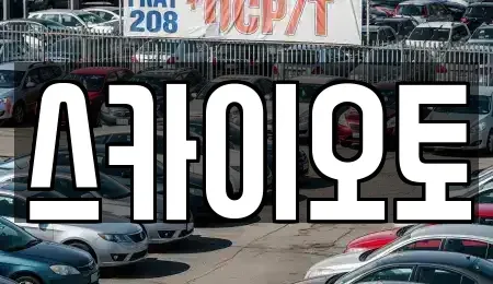 경기 부천시 소사구 심곡본동 단기렌트카 전문 스카이오토