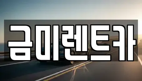 경기 부천시 소사구 심곡본동 렌트카 전문 금미렌트카