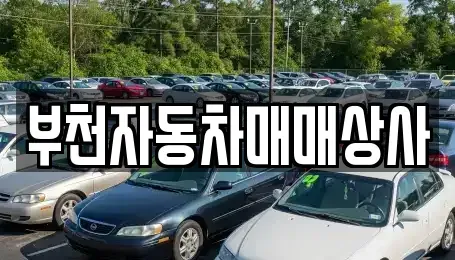 경기 부천시 소사구 심곡본동 중고차매매 전문 부천자동차매매상사