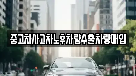 경기 부천시 소사구 심곡본동 중고차매매,단기렌트카,중고차매입,장기렌트카,중고차,렌트카