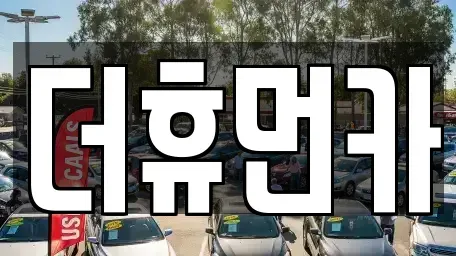 경기 성남시 분당구 삼평동 단기렌트카 전문 더휴먼카