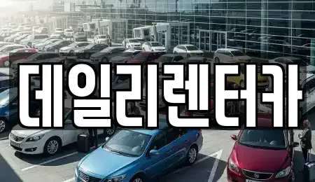 경기 성남시 분당구 삼평동 단기렌트카 전문 데일리렌터카