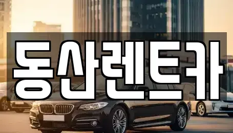 경기 성남시 분당구 삼평동 단기렌트카 전문 동산렌트카