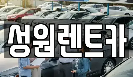경기 성남시 분당구 삼평동 렌트카 전문 성원렌트카