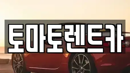 경기 성남시 분당구 삼평동 렌트카 전문 토마토렌트카