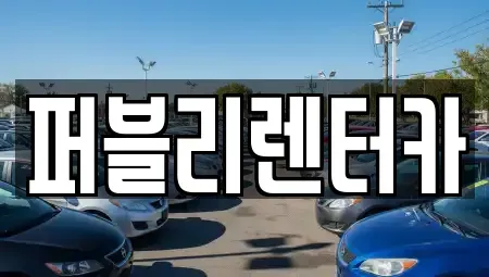 경기 성남시 분당구 삼평동 렌트카 전문 퍼블리렌터카