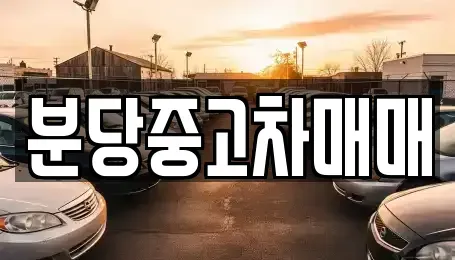 경기 성남시 분당구 삼평동 중고차매매 전문 분당중고차매매