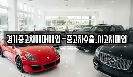 경기 성남시 분당구 삼평동 중고차매입 전문 경기중고차매매매입-중고차수출.사고차매입