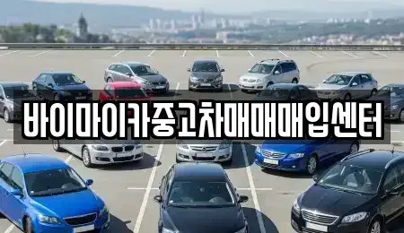 경기 성남시 분당구 삼평동 중고차매입 전문 바이마이카중고차매매매입센터