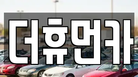 경기 성남시 수정구 금토동 단기렌트카 전문 더휴먼카