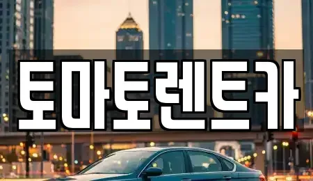 경기 성남시 수정구 금토동 렌트카 전문 토마토렌트카