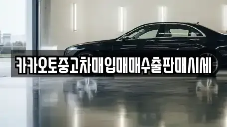 경기 성남시 수정구 금토동 중고차매매 전문 카카오토중고차매입매매수출판매시세