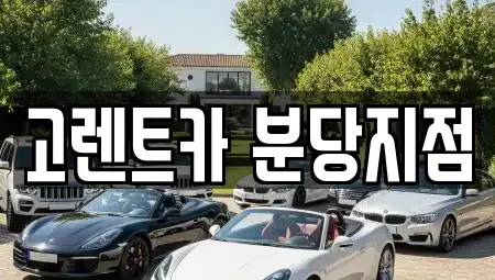 경기 수원시 권선구 서둔동 단기렌트카 전문 고렌트카 분당지점