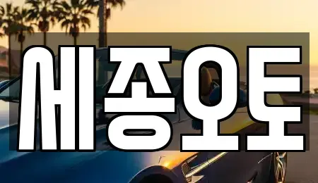 경기 수원시 권선구 서둔동 렌트카 전문 세종오토