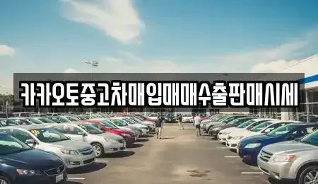 경기 수원시 권선구 서둔동 중고차매입 전문 카카오토중고차매입매매수출판매시세