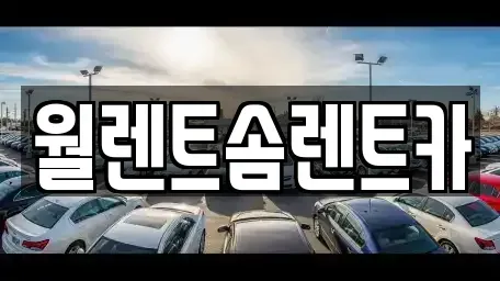 경기 수원시 권선구 평리동 렌트카 전문 월렌트솜렌트카