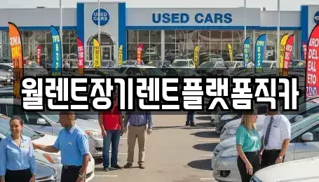경기 수원시 권선구 평리동 장기렌트카 전문 월렌트장기렌트플랫폼직카