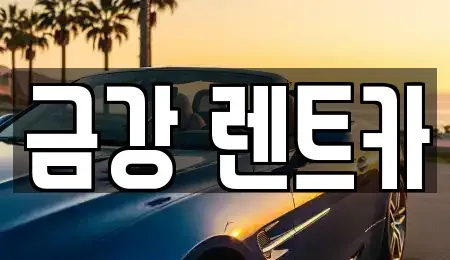 경기 수원시 팔달구 영동 렌트카 전문 금강 렌트카