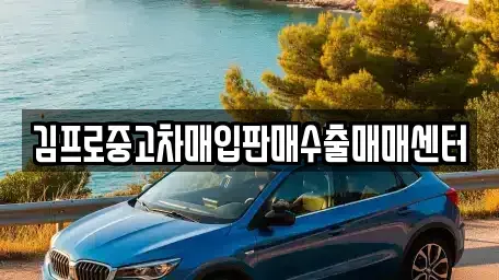 경기 수원시 팔달구 영동 중고차매입 전문 김프로중고차매입판매수출매매센터