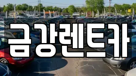 경기 수원시 팔달구 팔달로1가 렌트카 전문 금강렌트카