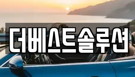 경기 수원시 팔달구 팔달로1가 장기렌트카 전문 더베스트솔루션