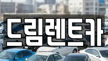 경기 시흥시 은행동 렌트카 전문 드림렌트카
