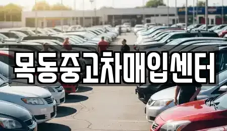 경기 시흥시 은행동 중고차 전문 목동중고차매입센터
