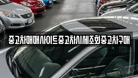 경기 시흥시 은행동 중고차 전문 중고차매매사이트중고차시세조회중고차구매
