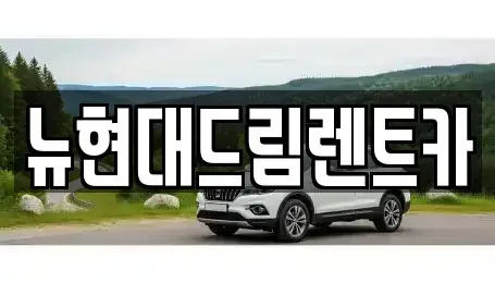 경기 안산시 단원구 화정동 렌트카 전문 뉴현대드림렌트카