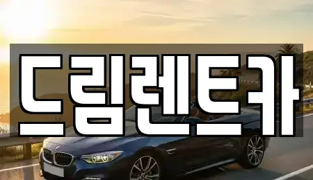 경기 안산시 단원구 화정동 렌트카 전문 드림렌트카