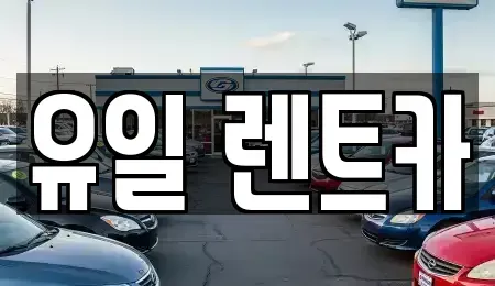 경기 안양시 동안구 렌트카 전문 유일 렌트카