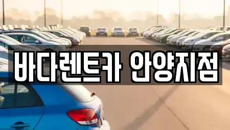 경기 안양시 동안구 장기렌트카 전문 바다렌트카 안양지점