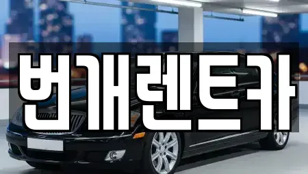 경기 안양시 동안구 장기렌트카 전문 번개렌트카